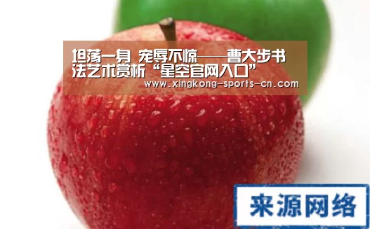星空官网入口