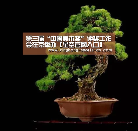 第三届“中国美术奖”评奖工作会在京举办【星空官网入口】(图2) 星空game